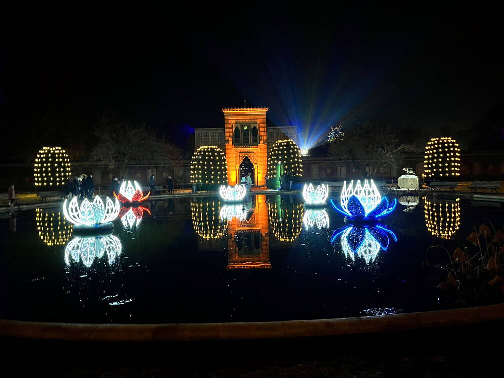 22-12-19 19-09-55 3661